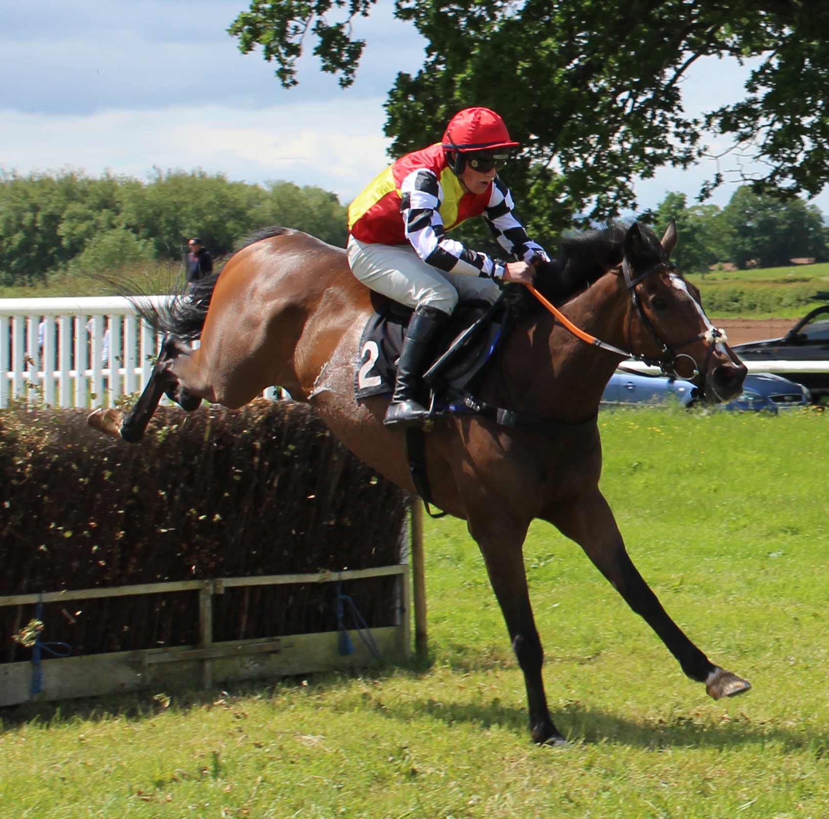 Beyond Redemption and Rupert Wilks sign off in style in the Novice Riders Final